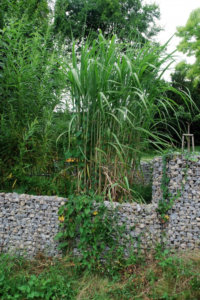 St&uuml;tzmauer aus Steink&ouml;rben Garteneckl&ouml;sung